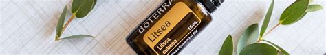 Aceite Esencial De Litsea Doterra Ml Aromapro Doterra Etherische