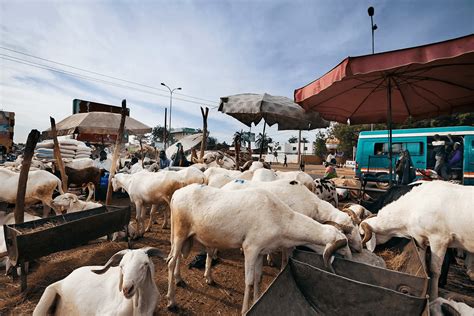 Mali Bamako - Streets Of The World