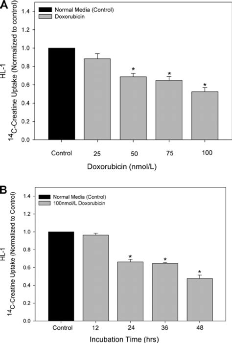 Time Course And Dose Response Effects Of Dox On Hl 1 Cells Hl 1 Cells Download Scientific