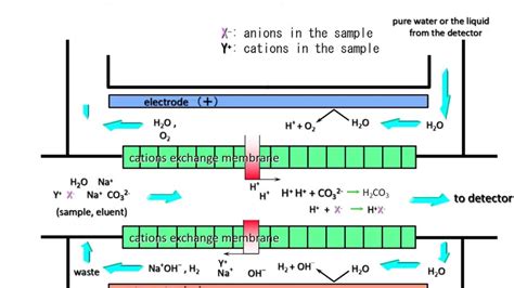 Ion Chromatographyhow Does The Suppressor Work Youtube