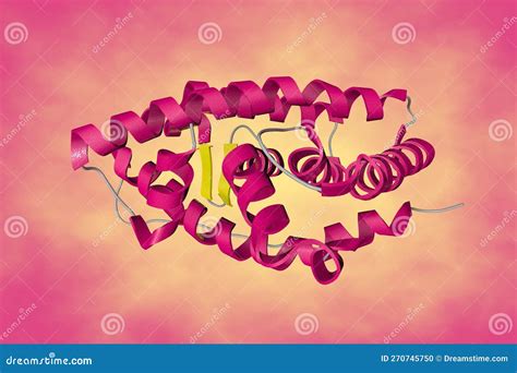 Crystal Structure Of Human Estrogen Related Receptor Gamma Ligand