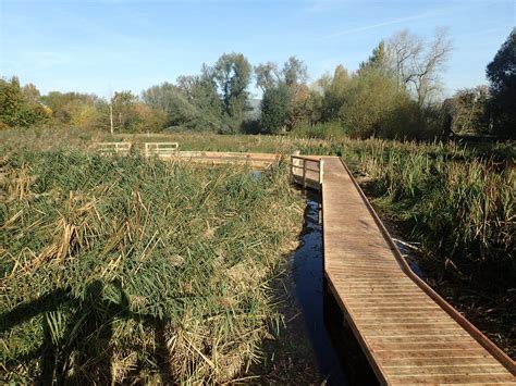 Raised Boardwalk And Wetland Boardwalk Design The Wild Deck Company