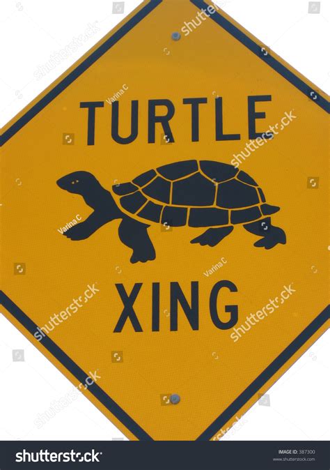 Turtle Crossing Sign Stock Photo 387300 Shutterstock