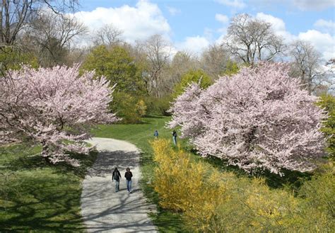 9 Massachusetts Gardens That Naturally Fit Any Itinerary