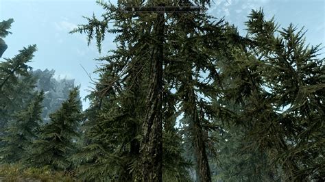 Guide Skyrim Tree Settings Step Mods Change The Game