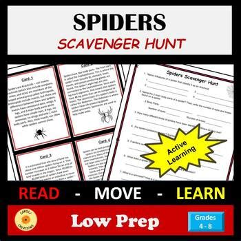 Spiders Arachnids Activity Scavenger Hunt With Easel Option By Carolj