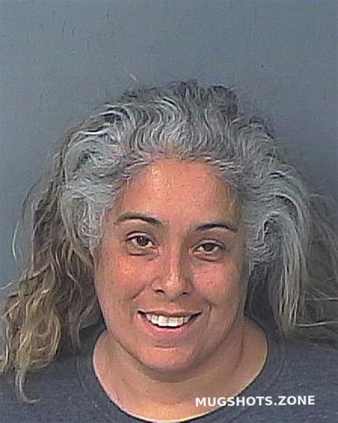 Santiago Jeanne Hernando County Mugshots Zone