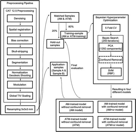 Accurate Sex Prediction Of Cisgender And Transgender Individuals Without Brain Size Bias