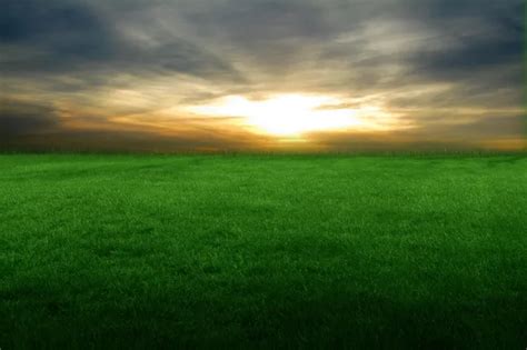 Grassy field sunset — Stock Photo © kevron2002 #30827593