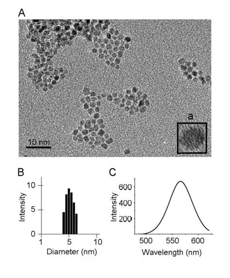 Tem Images Of Cdte Qds A The Low Magnification Images Cdte Qds A