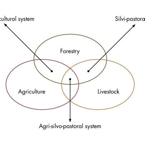 Classification of agroforestry systems based on composition | Download Scientific Diagram