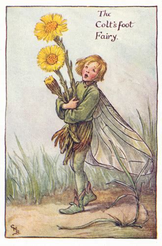 Flower Fairy Art Yellow Fairies Antique Fairy Prints