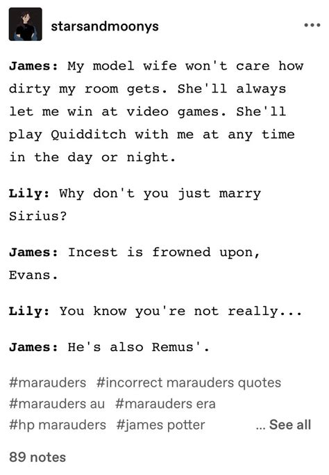 Pin By Louiseparr On Marauders Gay Harry Potter Harry Potter Headcannons Harry Potter More