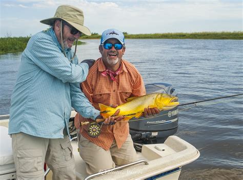 Argentina Golden Dorado Fishing - A Luxury Adventure 🎣