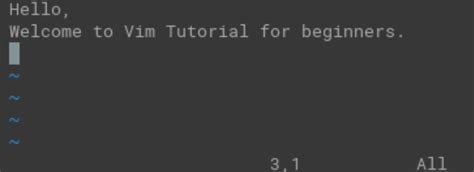How To Use Vim Tutorial For Beginners