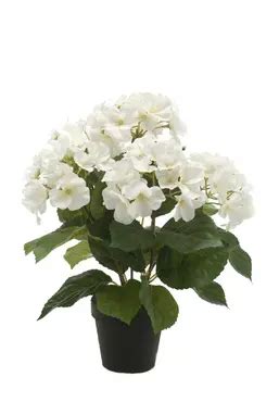 Kunstplant Hortensia Creme In Pot Cm Top Tuincentrum