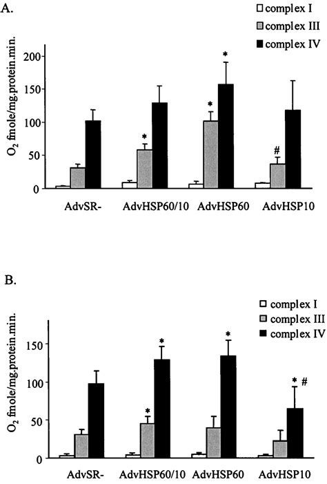 Combined And Individual Mitochondrial Hsp60 And Hsp10 Expression In