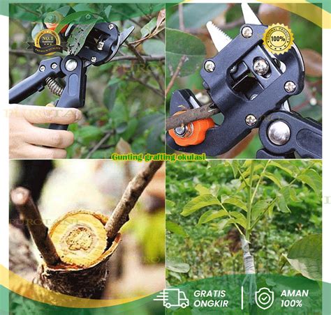 Gunting Grafting Pruning Tool Okulasi Sambung Batang Tanaman