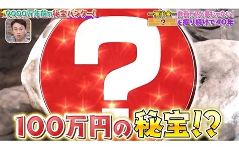 100万円の価値！？コウモリだらけの洞窟から9000万年前の秘宝発見！：所さんのそこんトコロ テレ東・bsテレ東の読んで見て感じるメディア