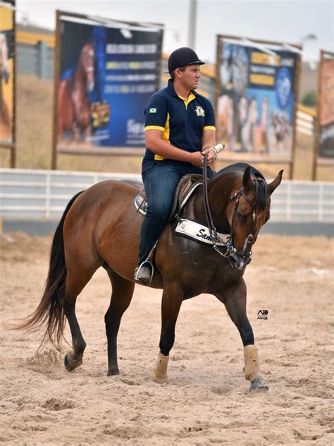 Pin De Kleber Ferreira En Vaquejada