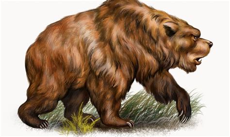 Tr N Chi N S Thi Cave Bear Vs Grizzly Bear Seothoitranglikefashion