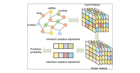 Empowering Graph Neural Networks With Block Based Dual Adaptive Deep