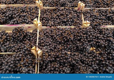 Uvas Pretas Em Uma Janela Da Loja Foto De Stock Imagem De Classe