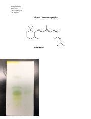 Chem Column Chromatography Lab Docx Rachel Marlin Chem