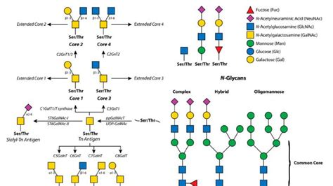 Creative Proteomics Blog