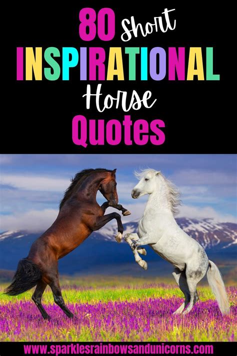 80 Short Inspirational Horse Quotes Sparkles Rainbows And Unicorns In