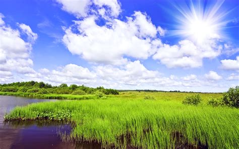 Green Grass Field On Lake Full Wallpapers Hd Desktop And Mobile Backgrounds