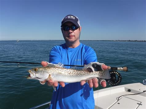 Fly Fishing for Speckled Trout (Spotted sea trout) – Fishing with Capt Jim