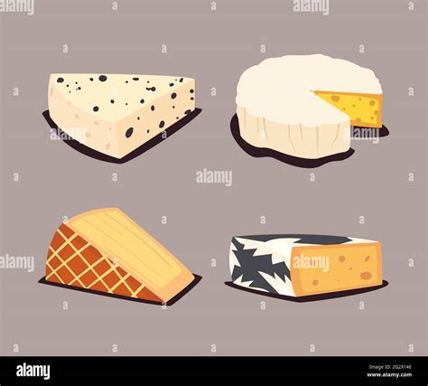 Collection De Différents Types De Fromages Image Vectorielle Stock Alamy