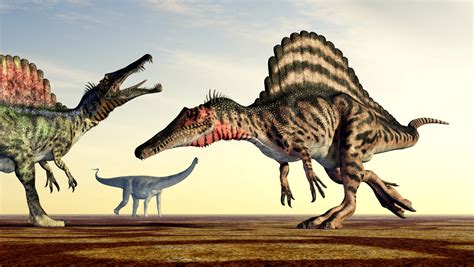 Some Unbelievable Facts About Spinosaurus Fossils