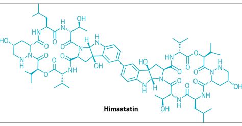 Bioinspired Himastatin Synthesis C EN Global Enterprise