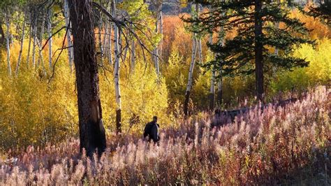 Hiking Beautiful Yellowstone National Park In The Autumn Youtube