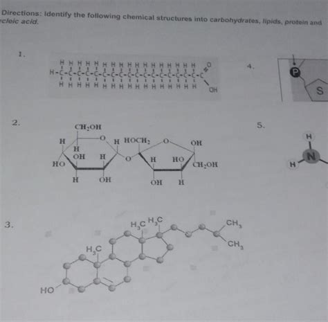 Structure Of Carbohydrates Lipids Proteins And Nucleic Acids