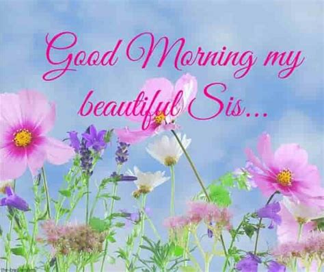 120 Lovely Good Morning Wishes For Sister Hd Images And Greetings Good Morning Flowers