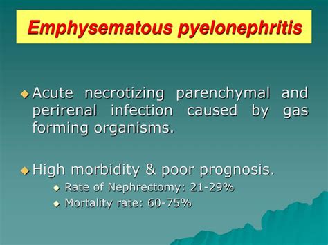 Ppt Is Conservative Management Effective In Emphysematous Pyelonephritis Powerpoint