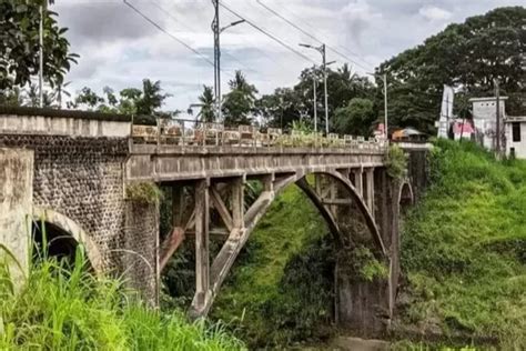 Viral Penampakan Seekor Buaya Berenang Di Bawah Jembatan Talang Lawas