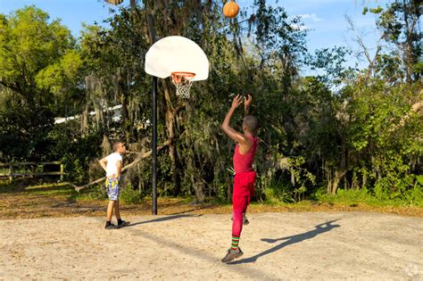 About Cypress Gardens Schools Demographics Things To Do