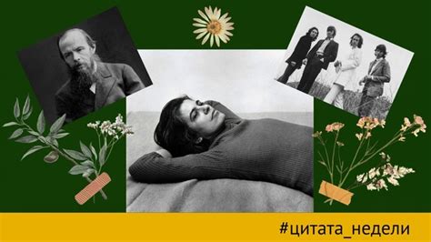 Из эссе «Против интерпретации» (1966) Сьюзен Сонтаг о высоком и низком ...