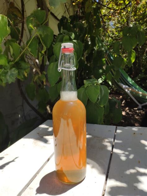 Receta De Kombucha Casera