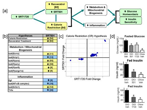 SRT1720 Behaves As A Mimetic For Calorie Restriction And Improves