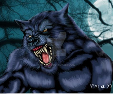 gnarly werewolf by peca06 on DeviantArt