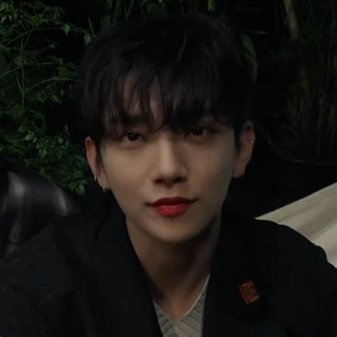 Hao】 Seventeen Joshua Icon