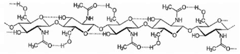 Chemical Structure Of Chitin The Dotted Line Indicates Hydrogen