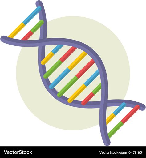 Dna Royalty Free Vector Image Vectorstock