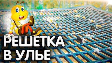 ГАНЕМАНОВСКАЯ разделительная РЕШЁТКА. Обзор трёх экземпляров. - YouTube