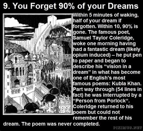 Facts About Dreams | Others